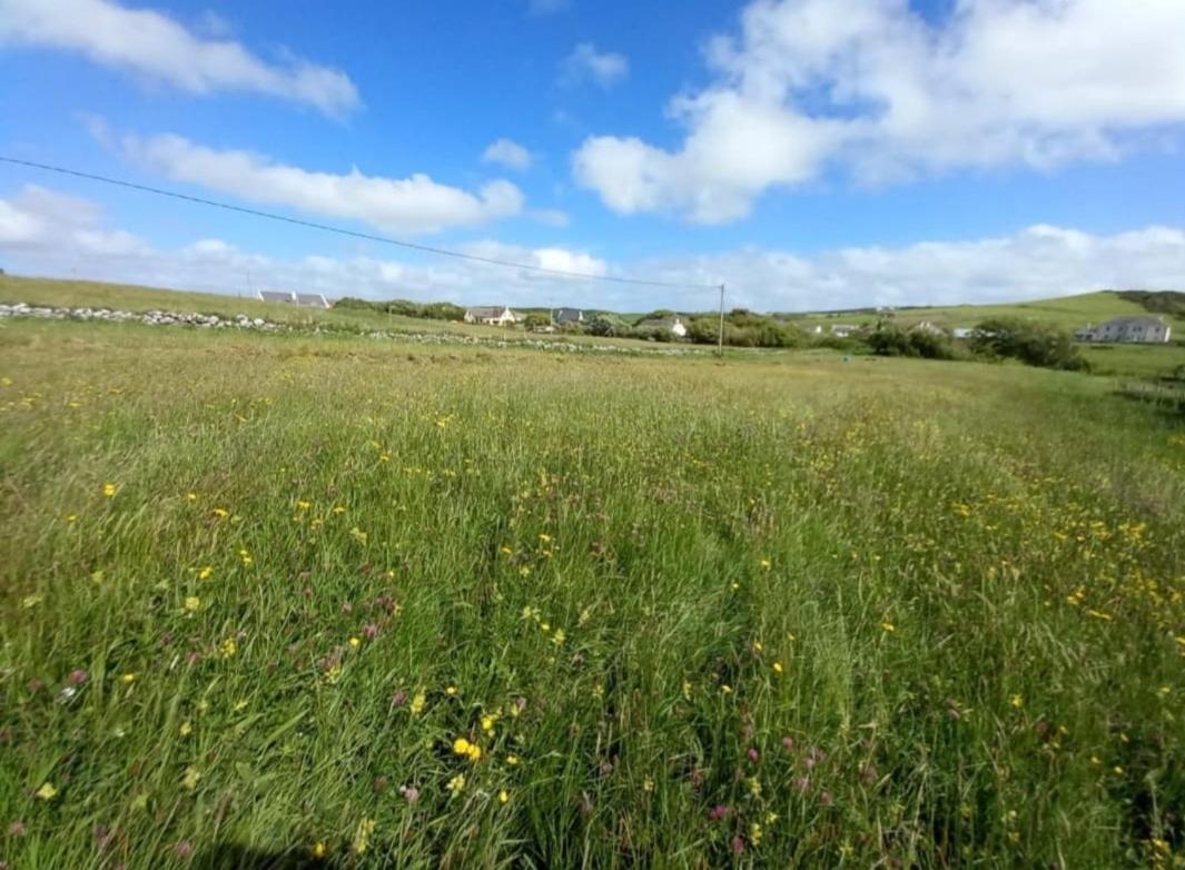 Willa Wild Meadow Huts Doolin Zewnętrze zdjęcie
