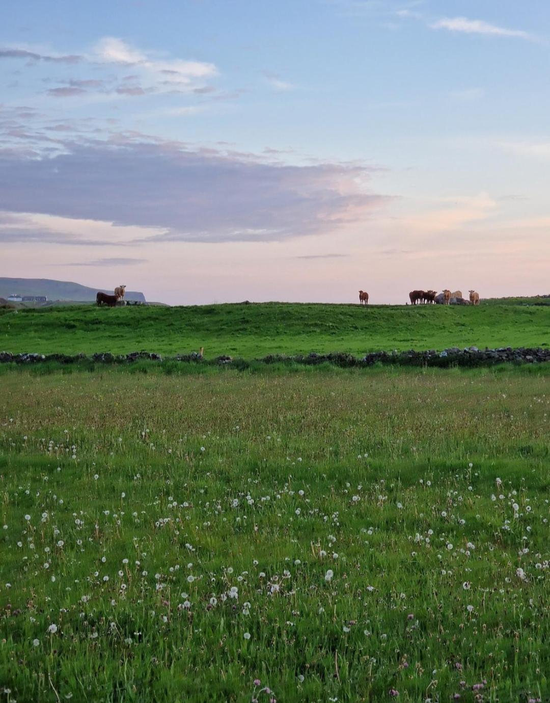 Willa Wild Meadow Huts Doolin Zewnętrze zdjęcie