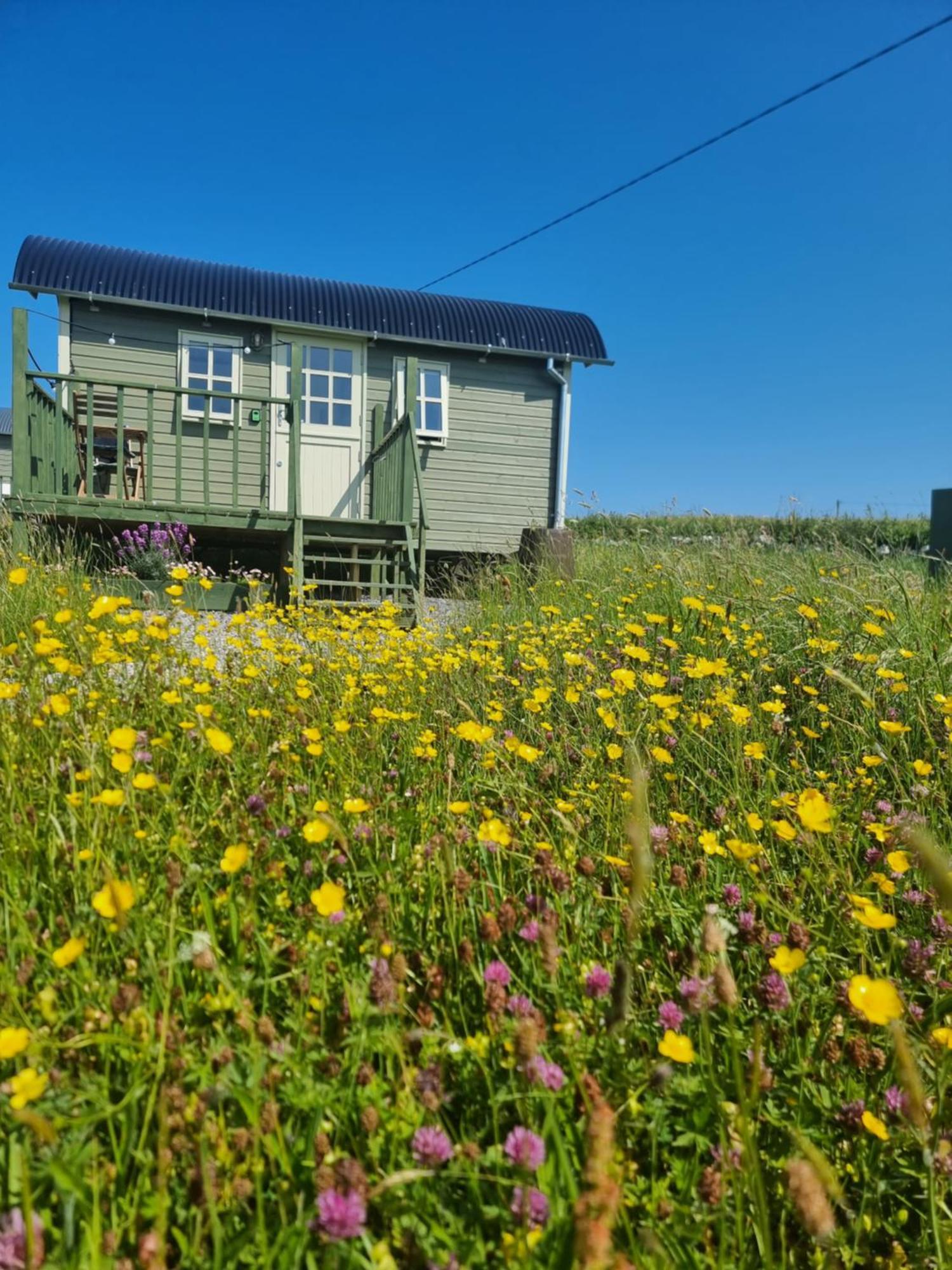 Willa Wild Meadow Huts Doolin Zewnętrze zdjęcie