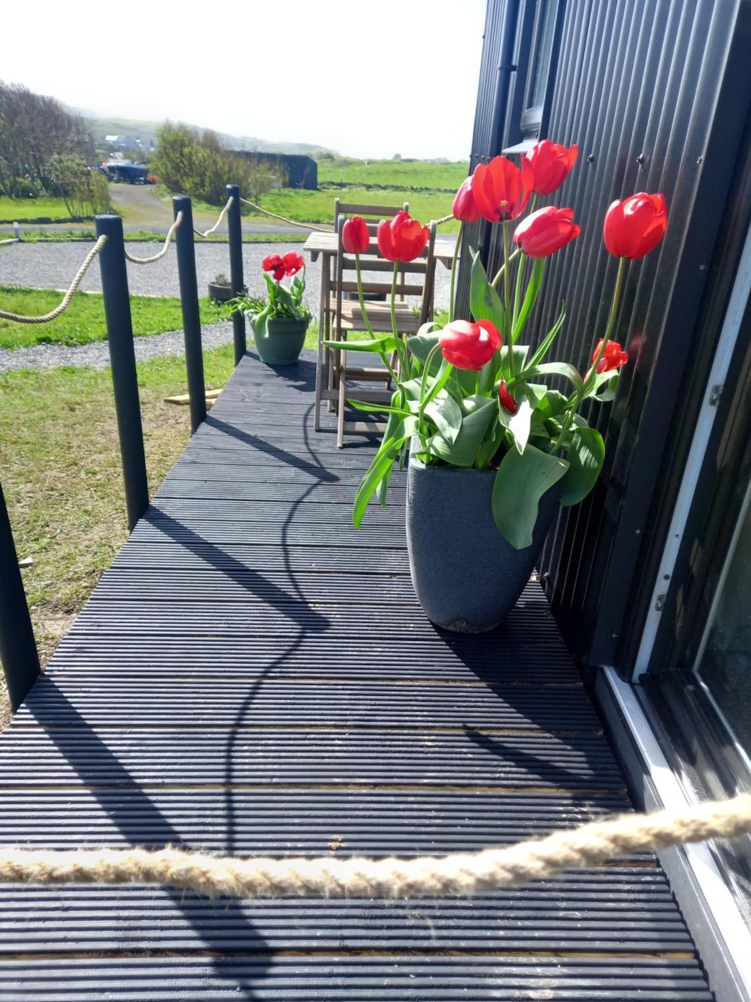 Willa Wild Meadow Huts Doolin Zewnętrze zdjęcie