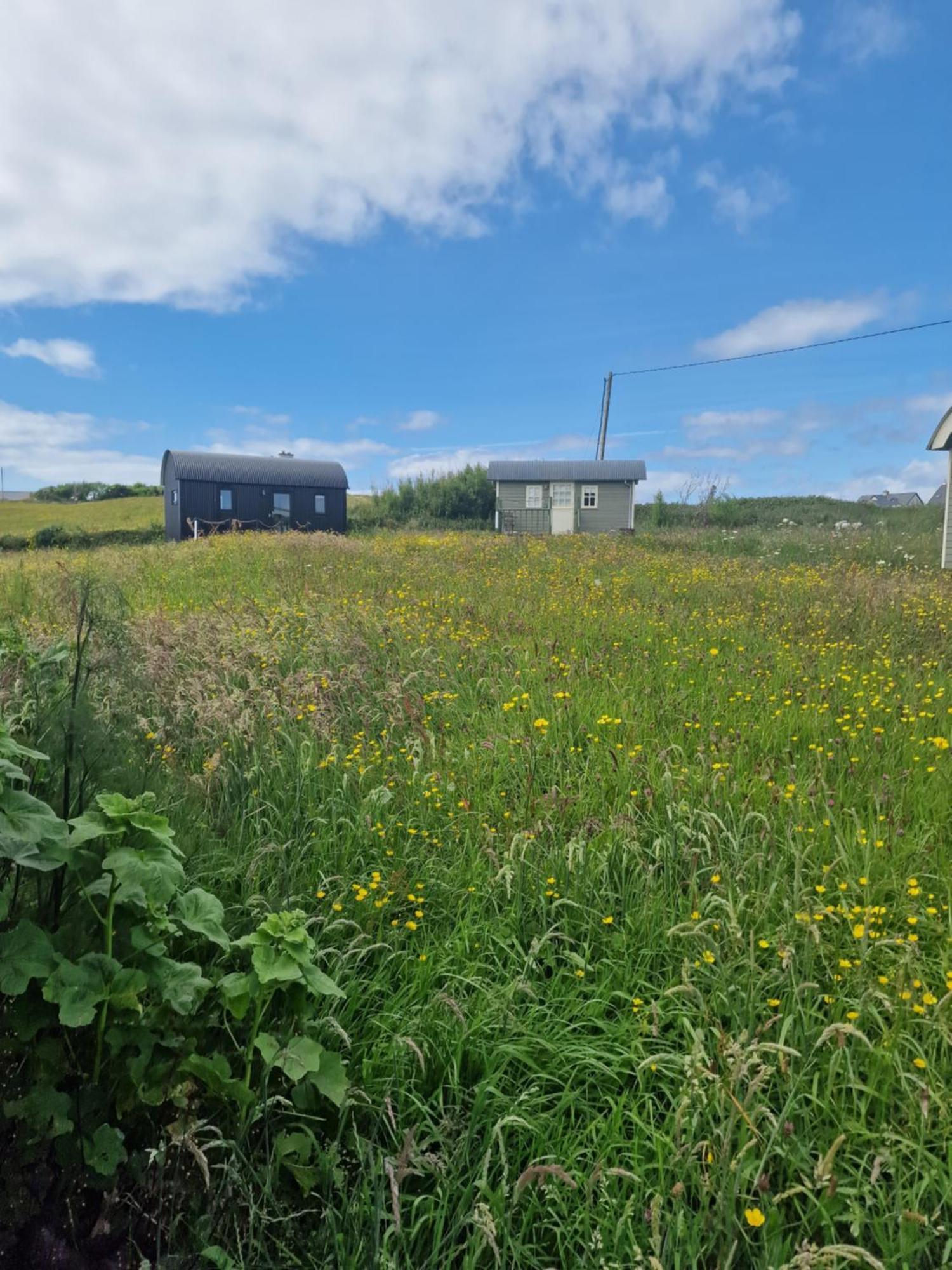 Willa Wild Meadow Huts Doolin Zewnętrze zdjęcie
