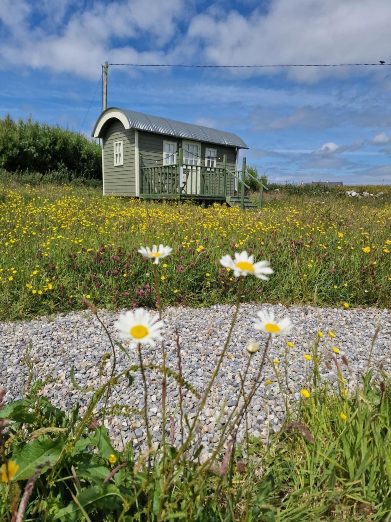 Willa Wild Meadow Huts Doolin Zewnętrze zdjęcie