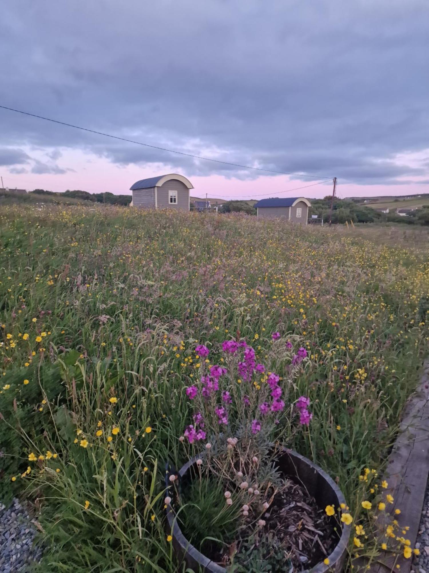 Willa Wild Meadow Huts Doolin Zewnętrze zdjęcie