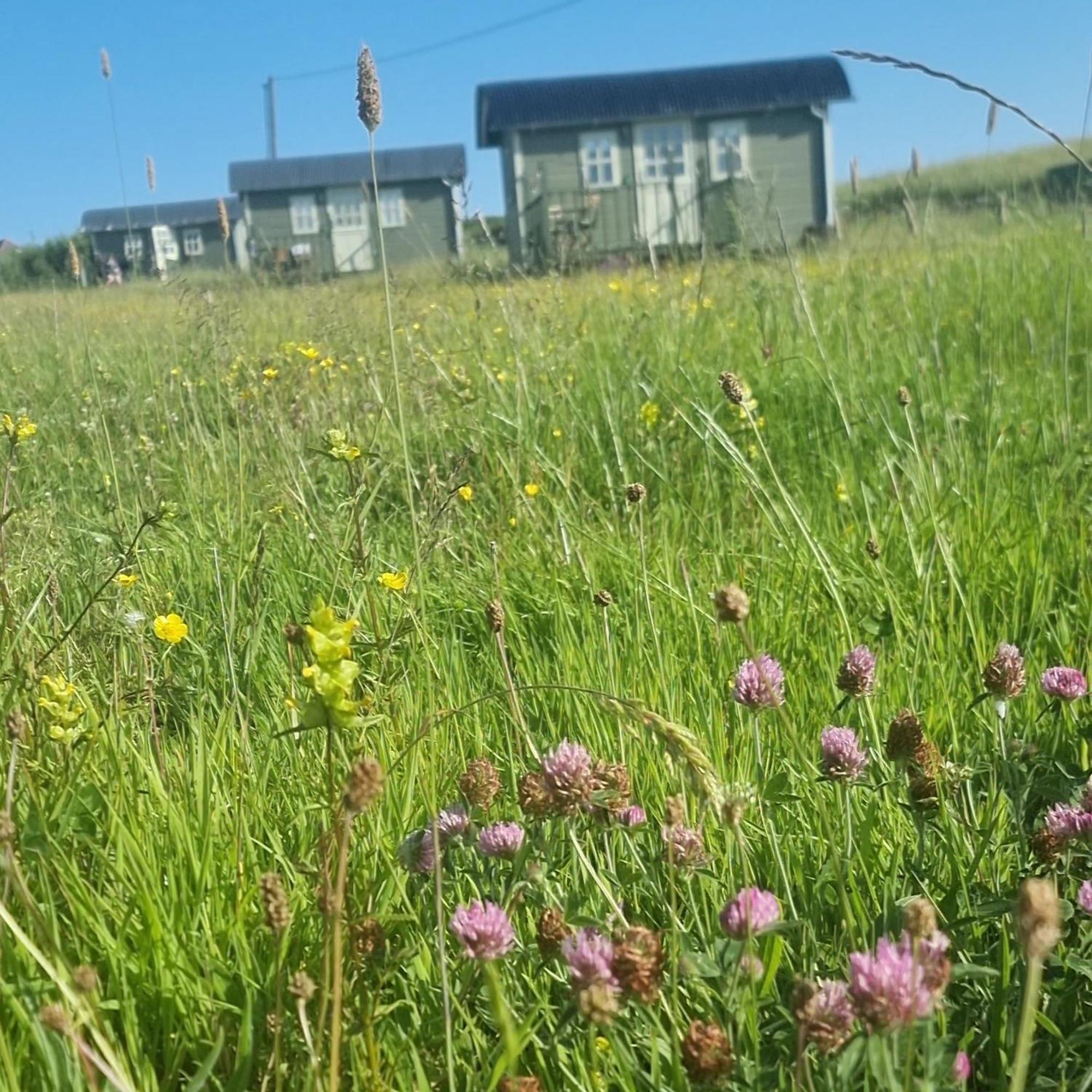 Willa Wild Meadow Huts Doolin Zewnętrze zdjęcie